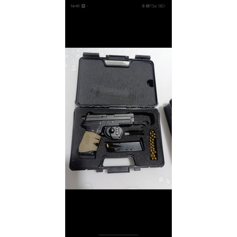 Sig sauer p229 alman model