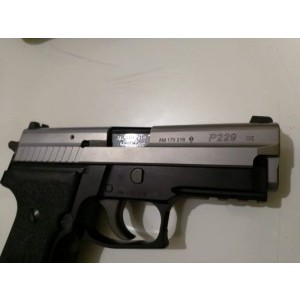 Sigsaur p229