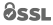 SSL Logo