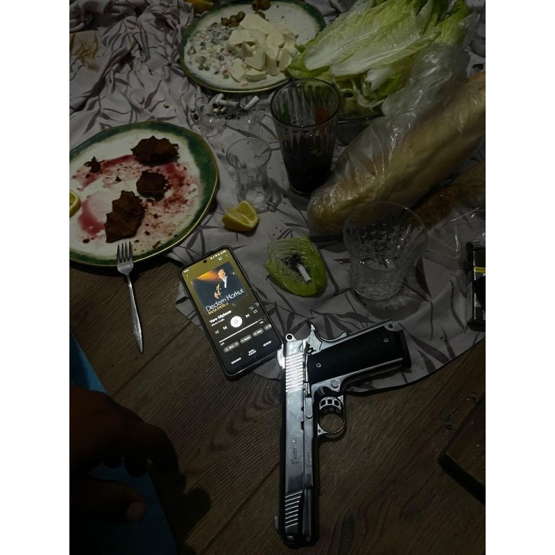 Ruhsatlı temiz kuzey 911