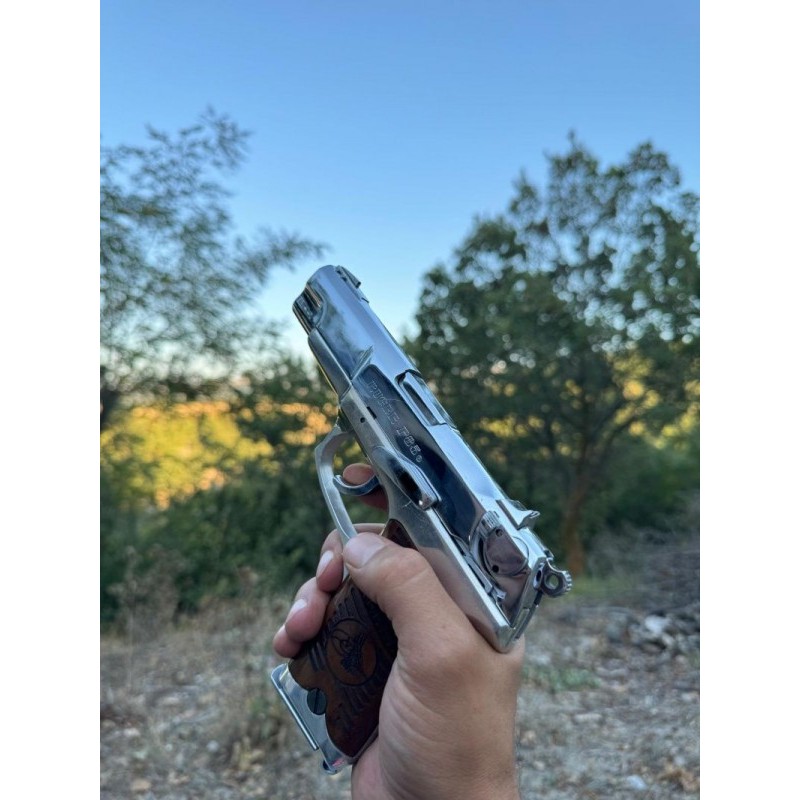 Temiz RUGER P85