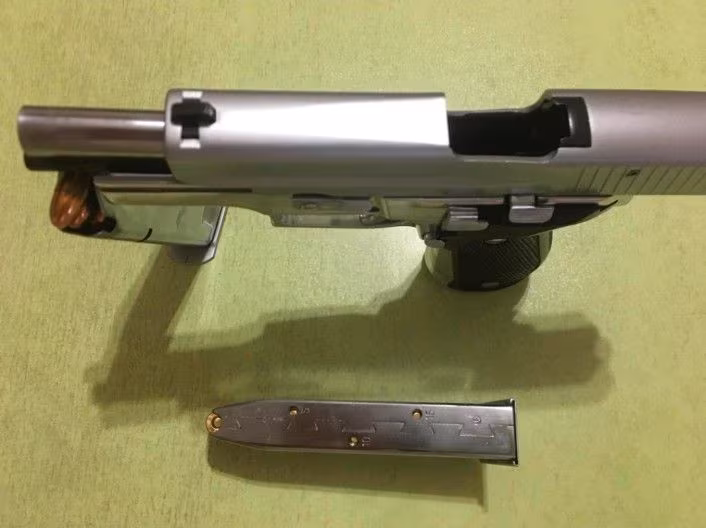 Temiz SIGSAUER P226