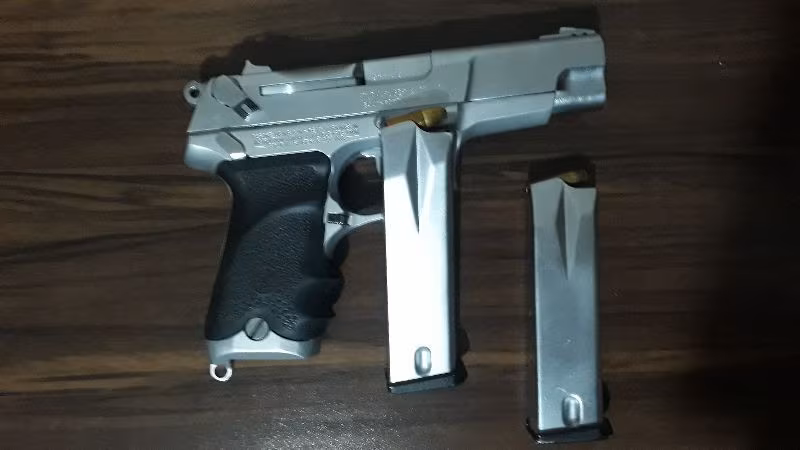Ruger P95