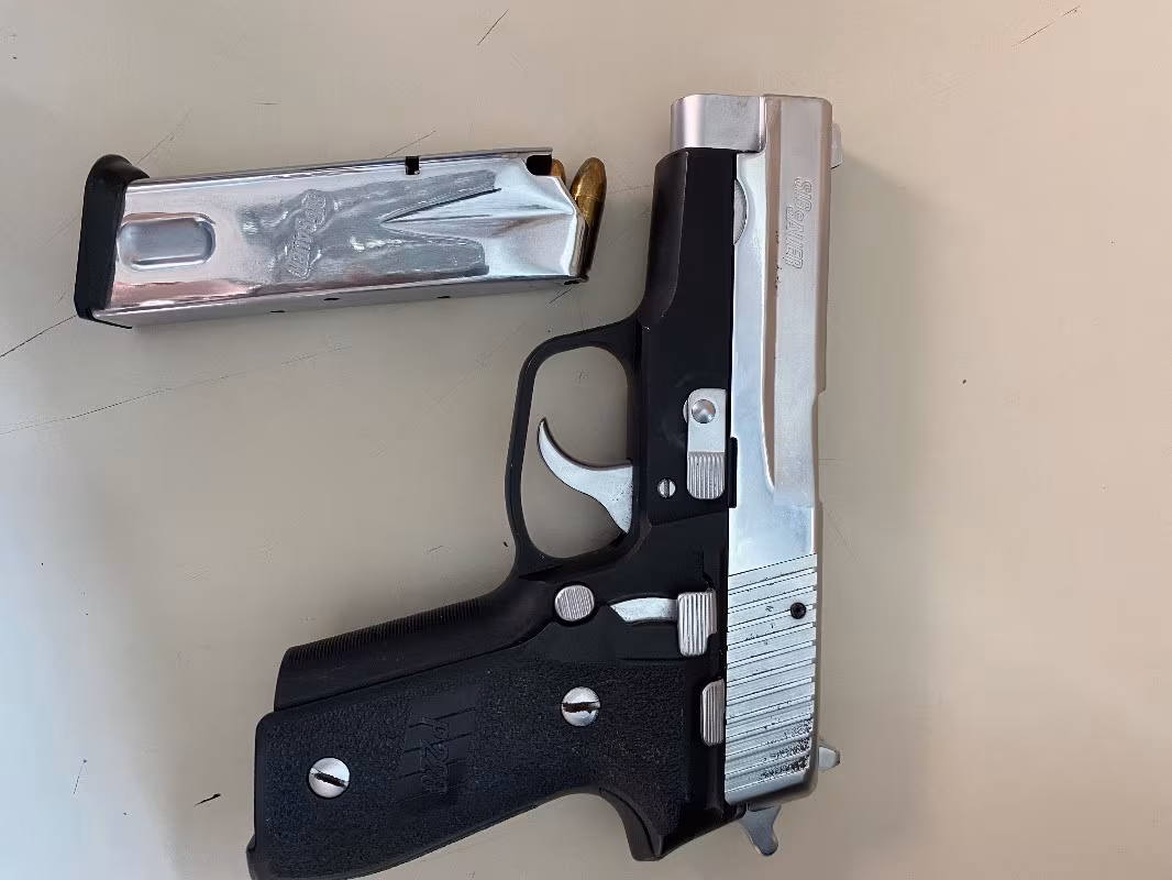 Sig Sauer P228