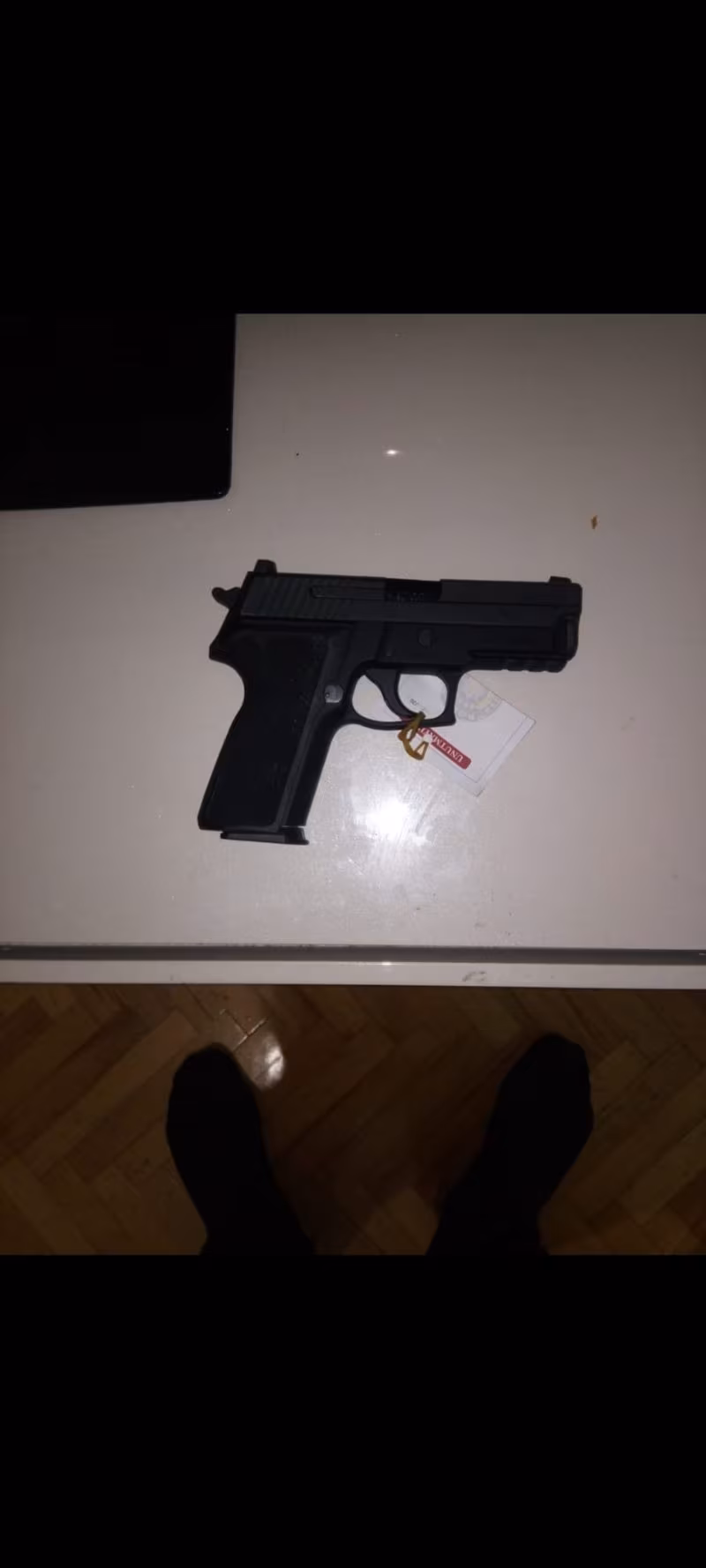 SİG SAUER P 229