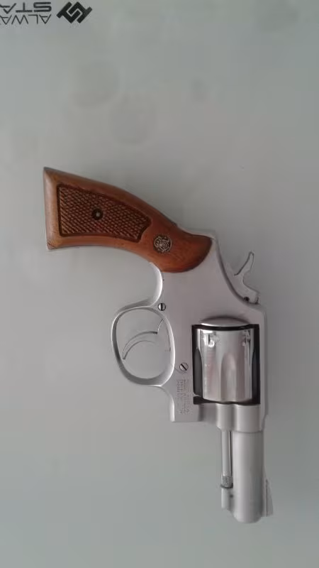 Tertemiz Smith Wesson