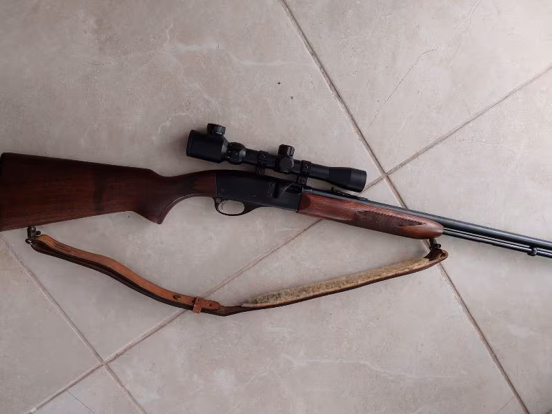 Remington 22cal.speedmaster