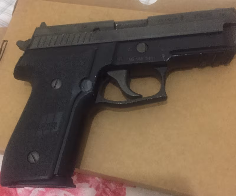 SİG SAUER P229 ALSO