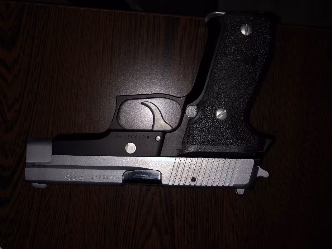 Temiz p226