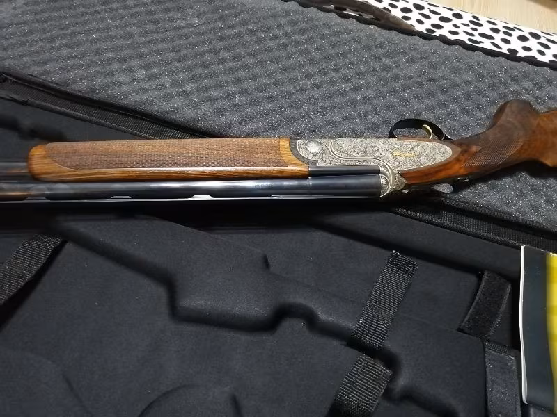 Rizzini Artemis lıght