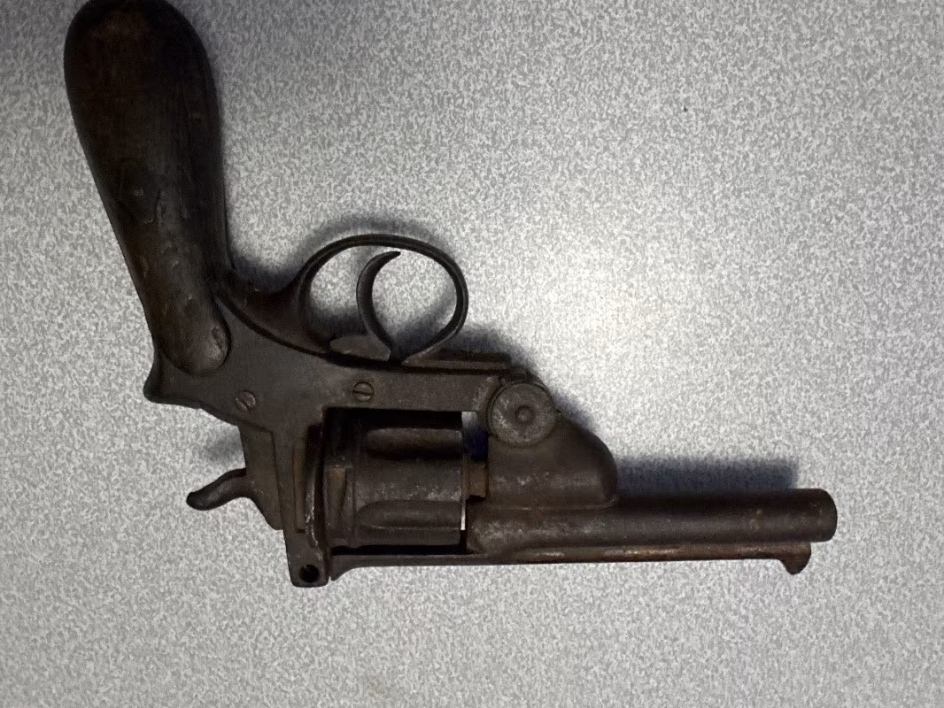 Türünü bilmiyorum