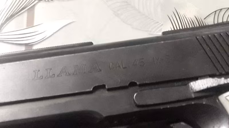 Llama 45