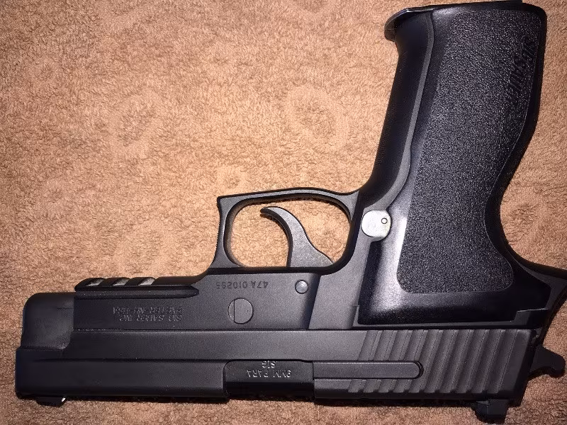 Temiz sig sauer