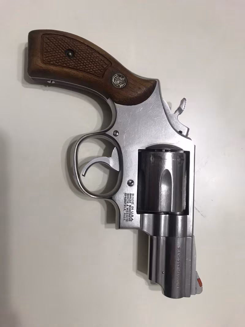 Smith wesson 957magnum