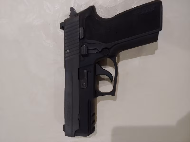Sog Sauer P229