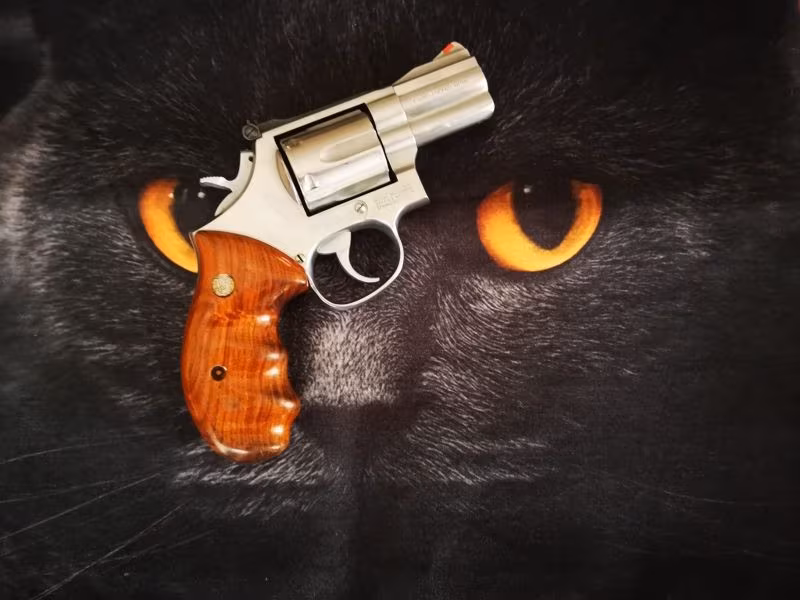 SMİTH WESSON 357 MAGNUM KAMU GÖREVLİSİNDEN SATILIK