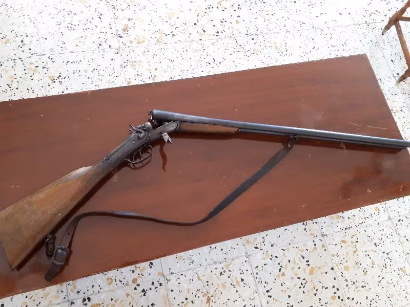 TÜRÜNÜN SON ÖRNEKLERİNDEN !