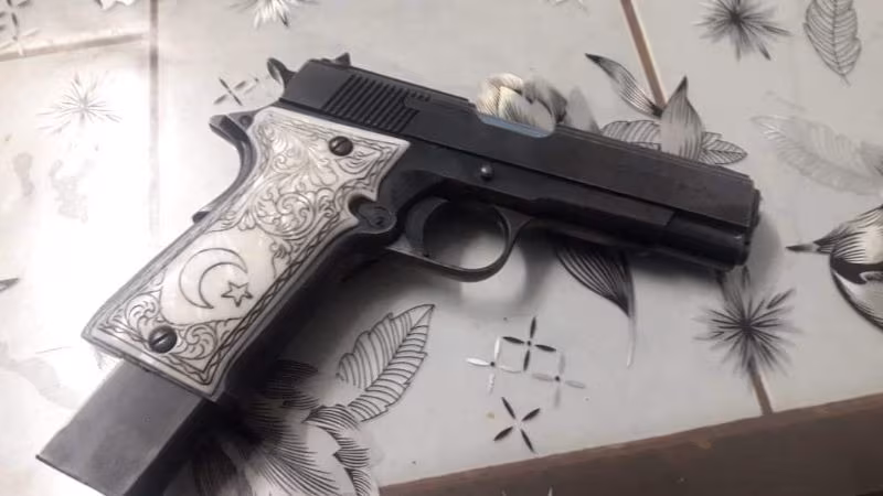 Llama 45