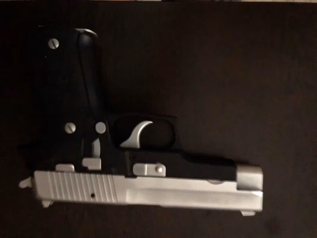 Temiz p226