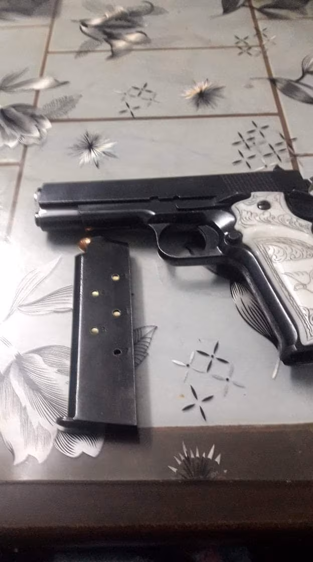 Llama 45