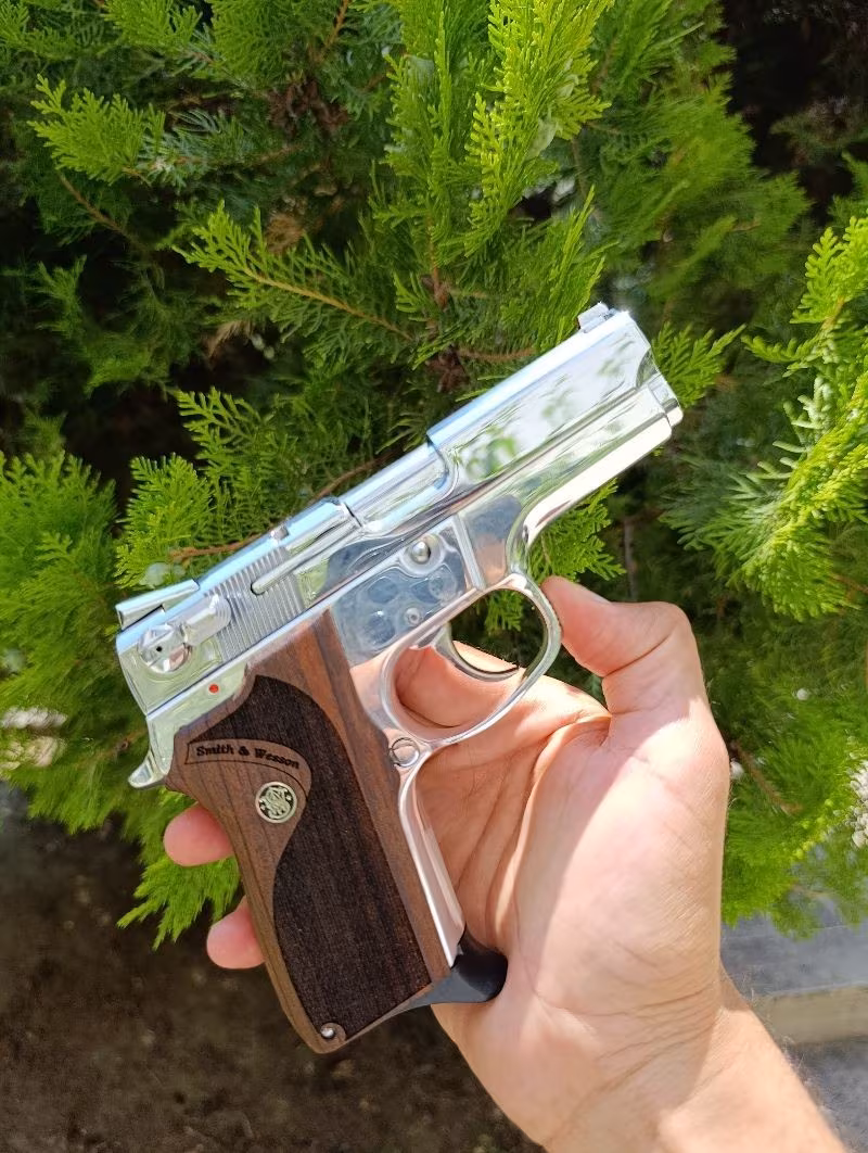 Smith Wesson 6906