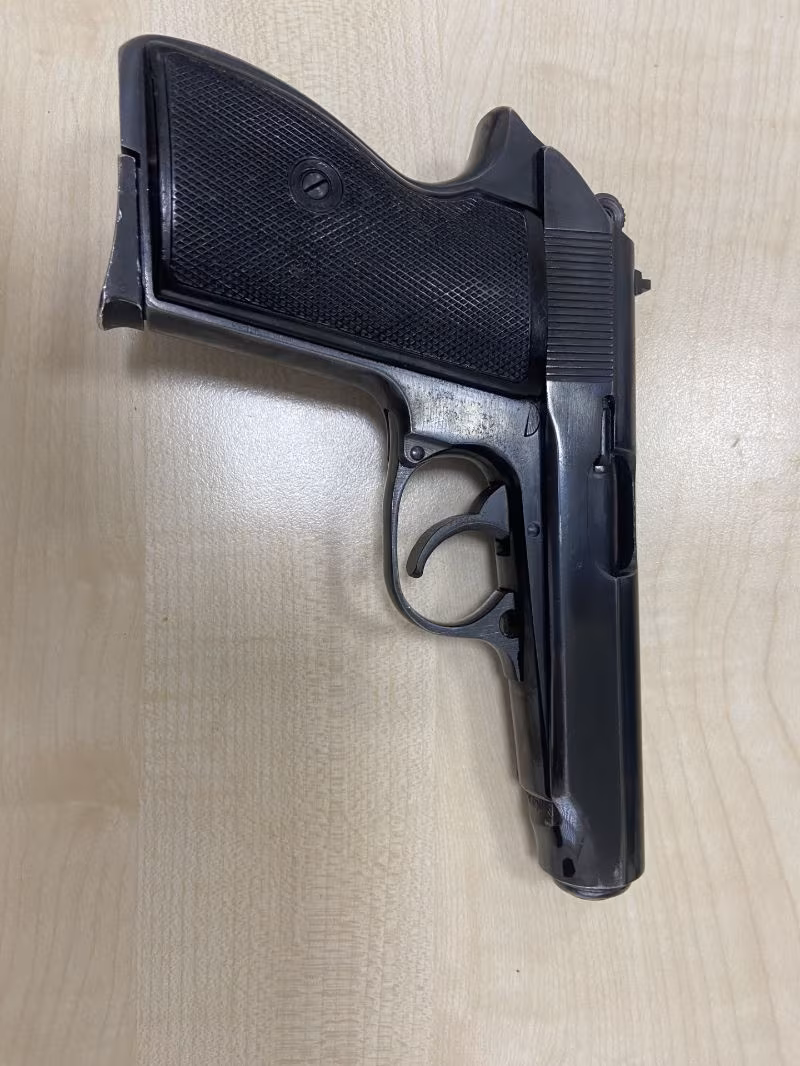 Temiz mauser