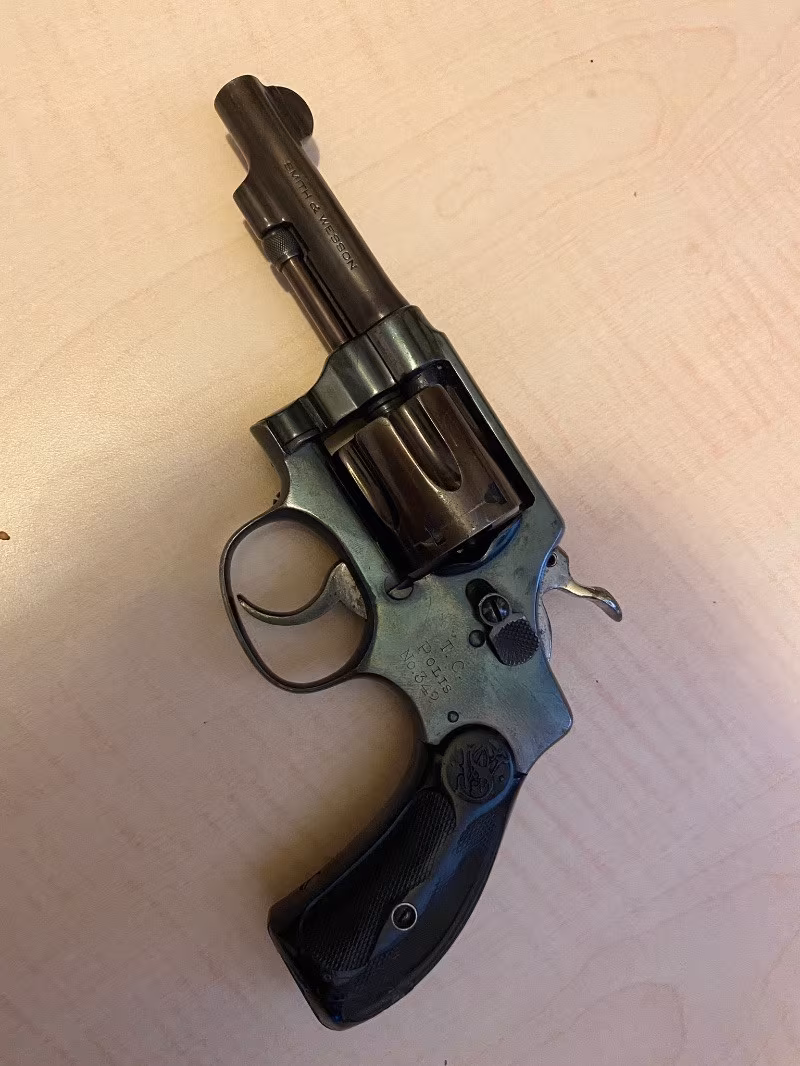 Polis çıkması Klasik Smith Wesson