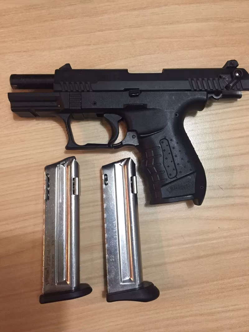 Walther  p 22