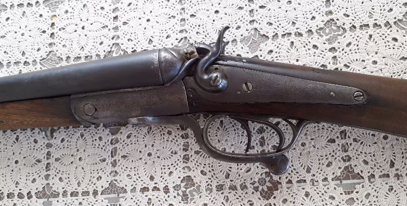 TÜRÜNÜN SON ÖRNEKLERİNDEN !