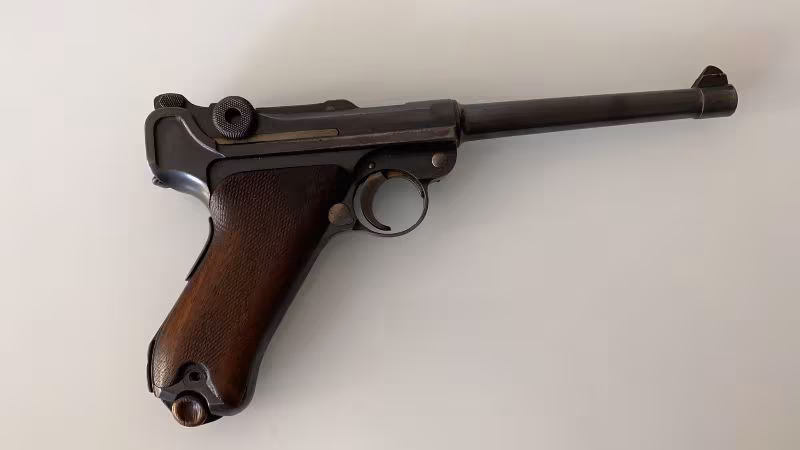 Hastasina parabellum