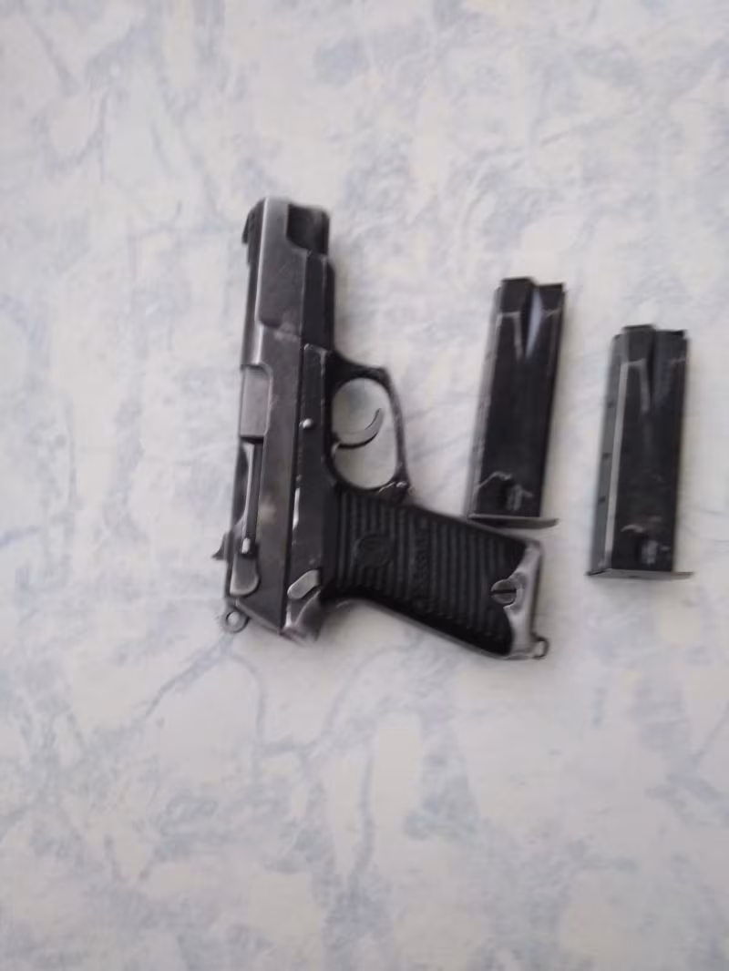RUGER 301