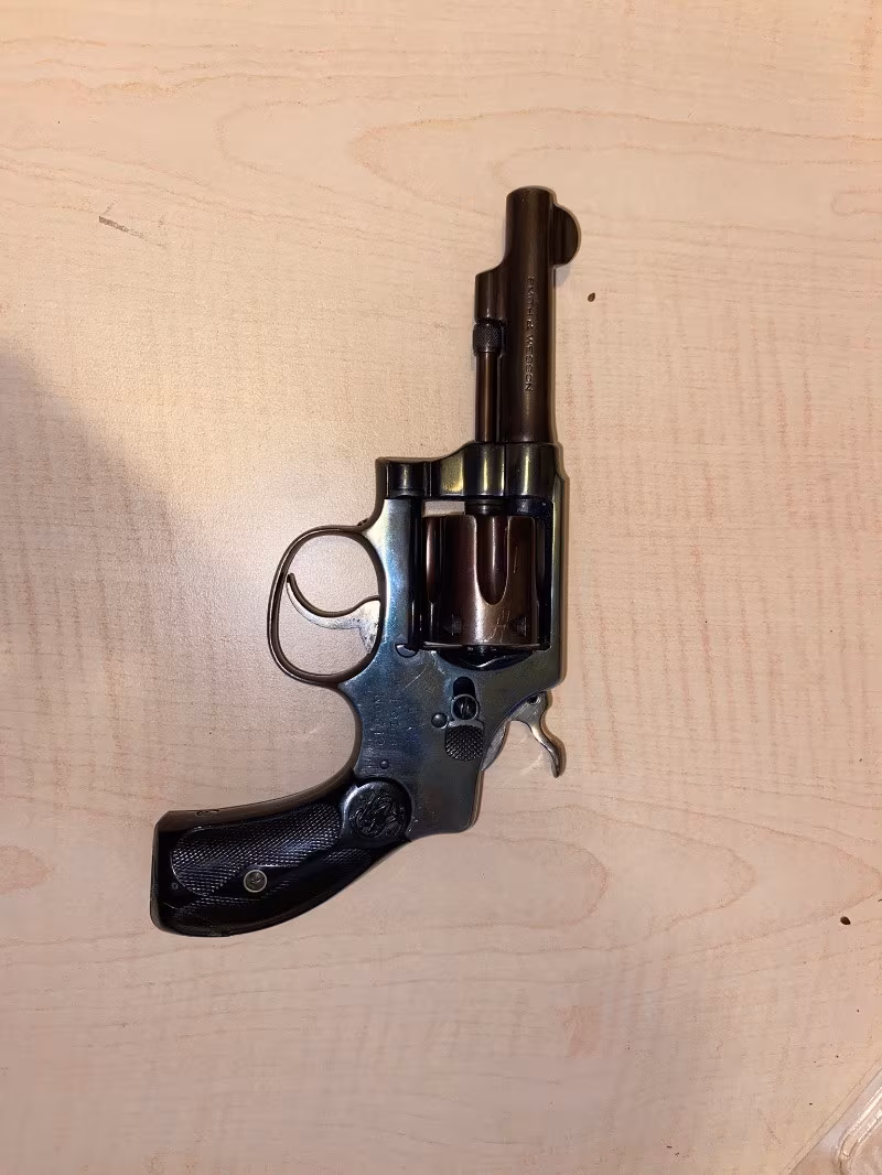 Polis çıkması Klasik Smith Wesson