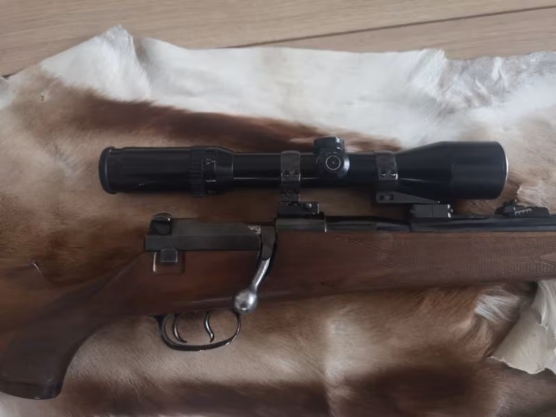 MAUSER 66S WERKE