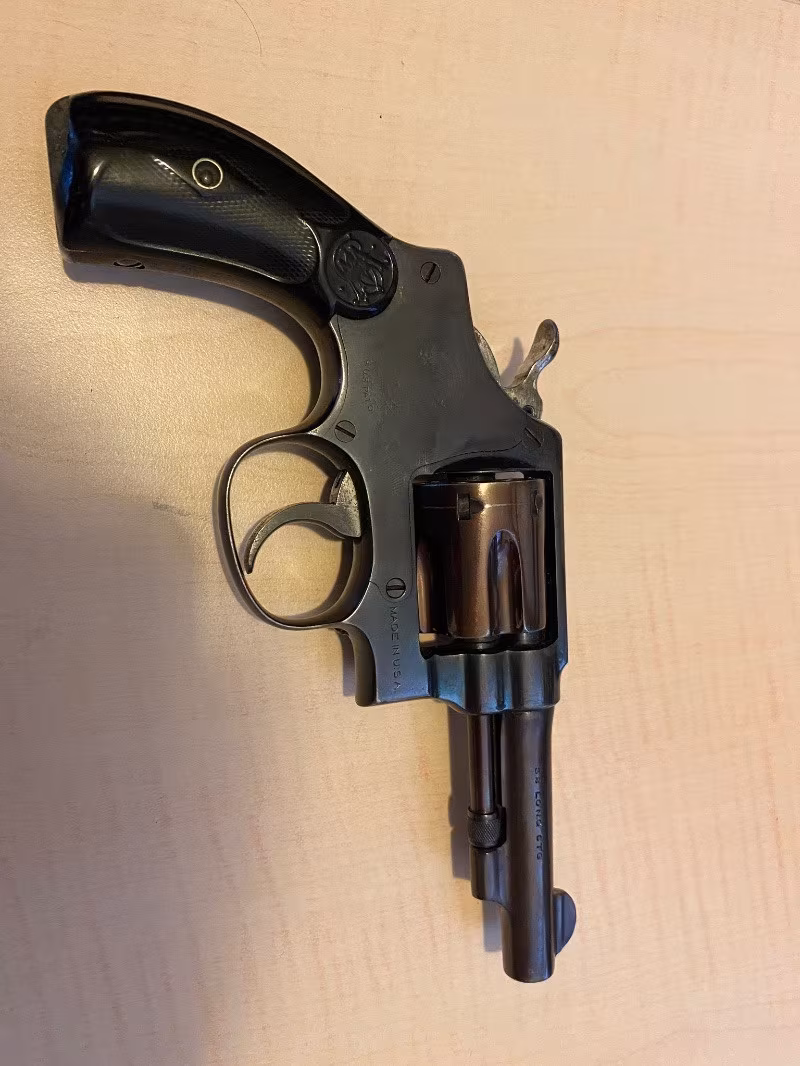 Polis çıkması Klasik Smith Wesson