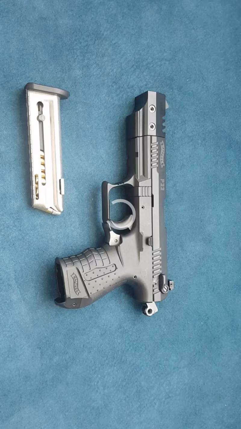 WALTHER P22 TARGET