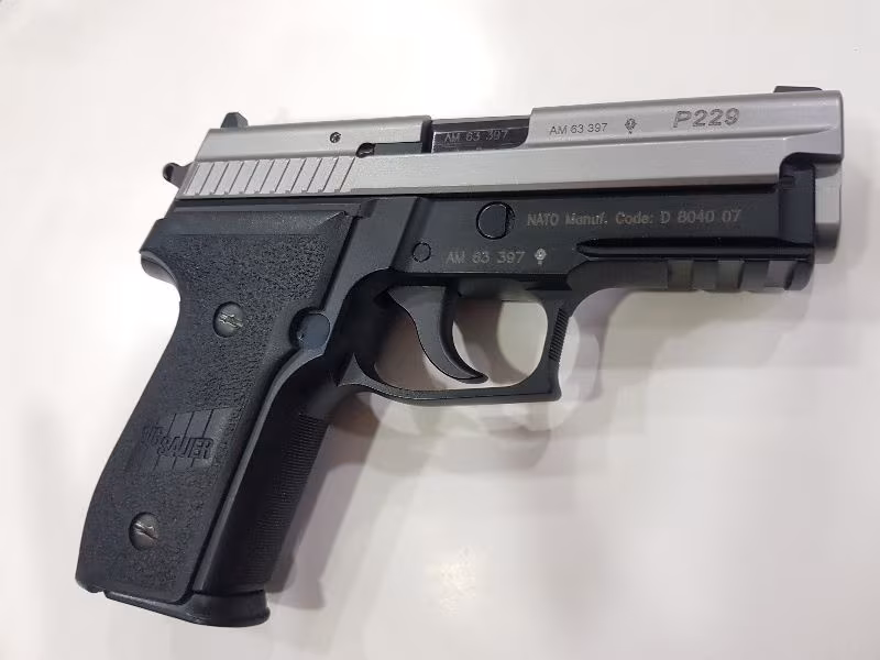 TER TEMİZ SİG SAUER P229 TWO TONE SPORT