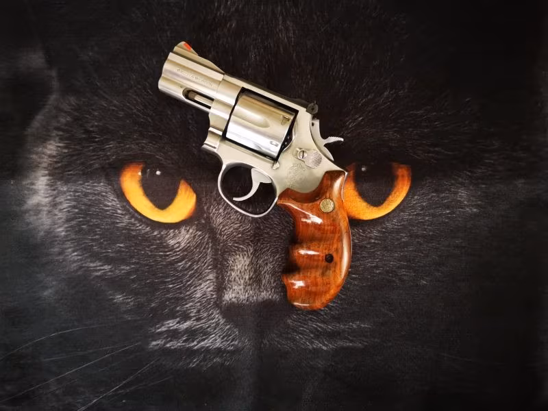 SMİTH WESSON 357 MAGNUM KAMU GÖREVLİSİNDEN SATILIK