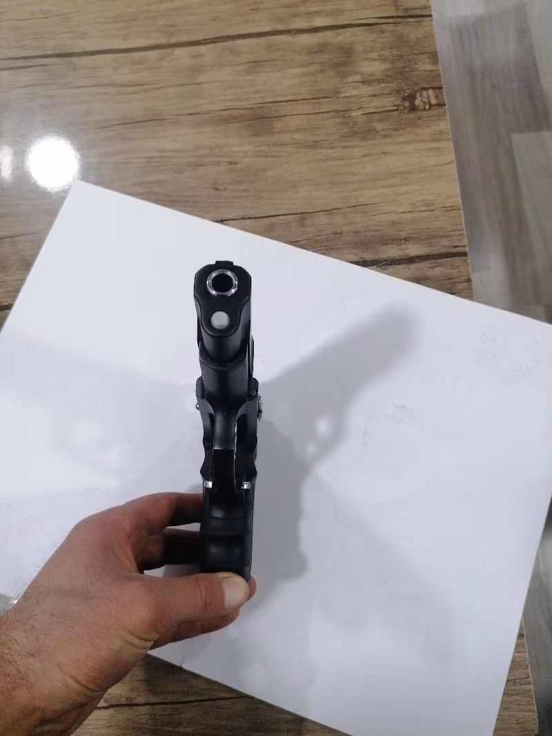 Tertemiz ruger