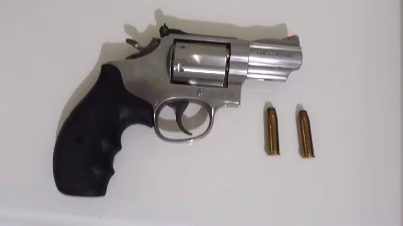Smith wesson 357 Magnum