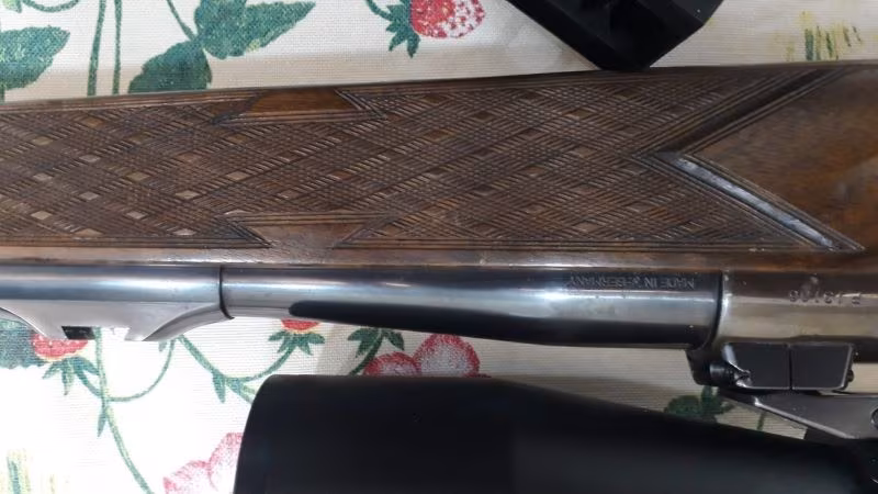 winchester weatherby