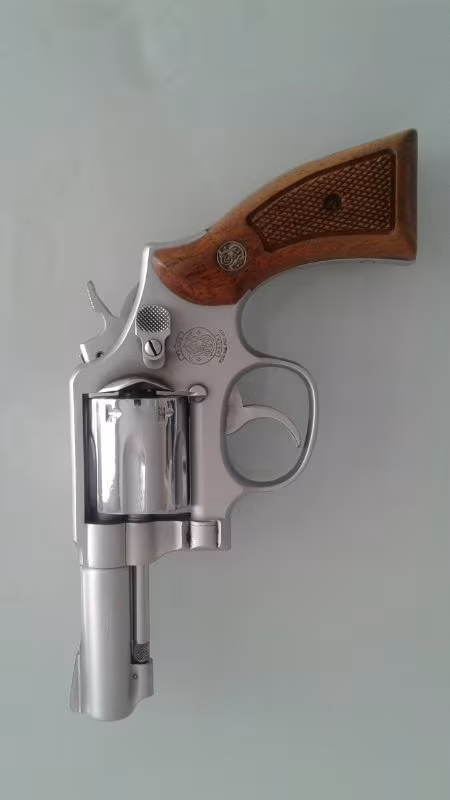 Tertemiz Smith Wesson