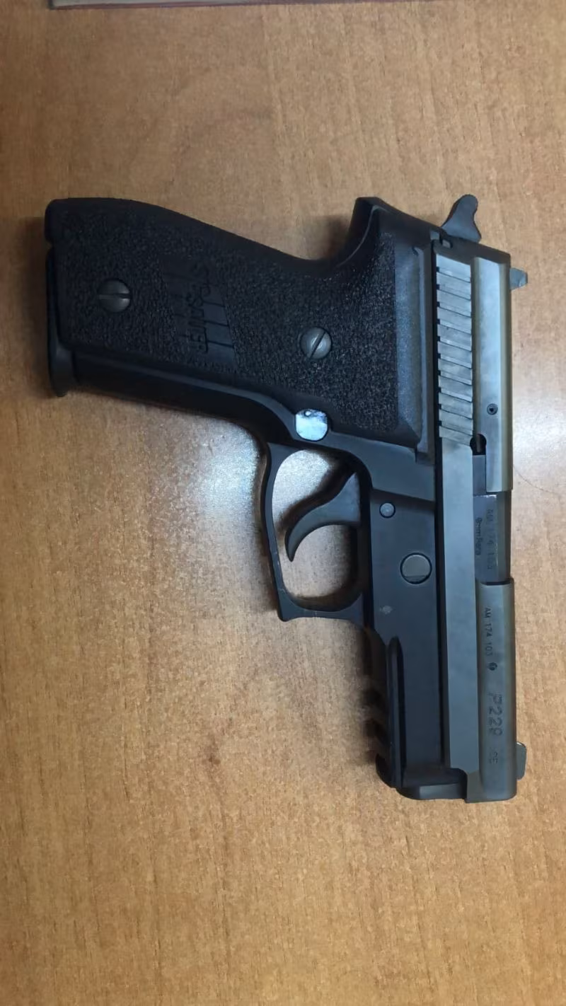 sigsuer p229 also made in germany