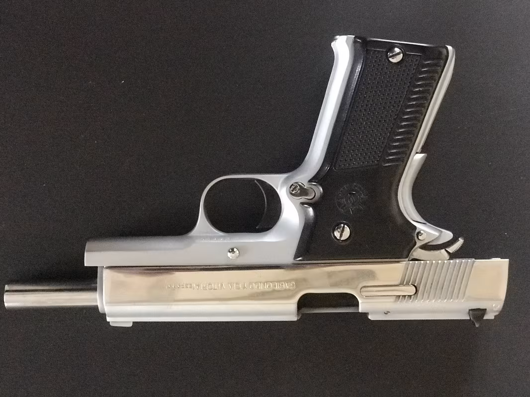 LLAMA 45
