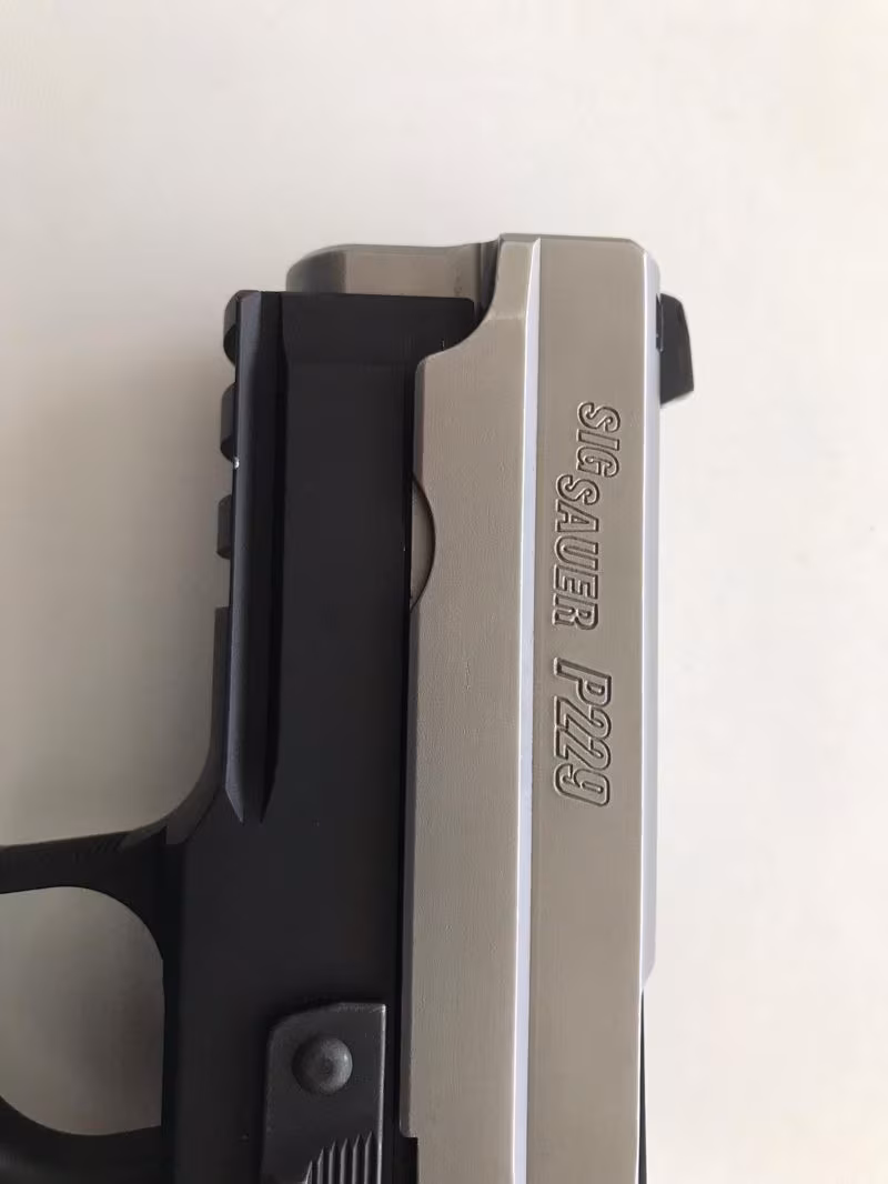 Temiz Sig Sauer
