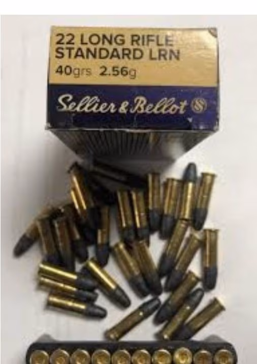 22 Kalibre mermi (100 ADET)