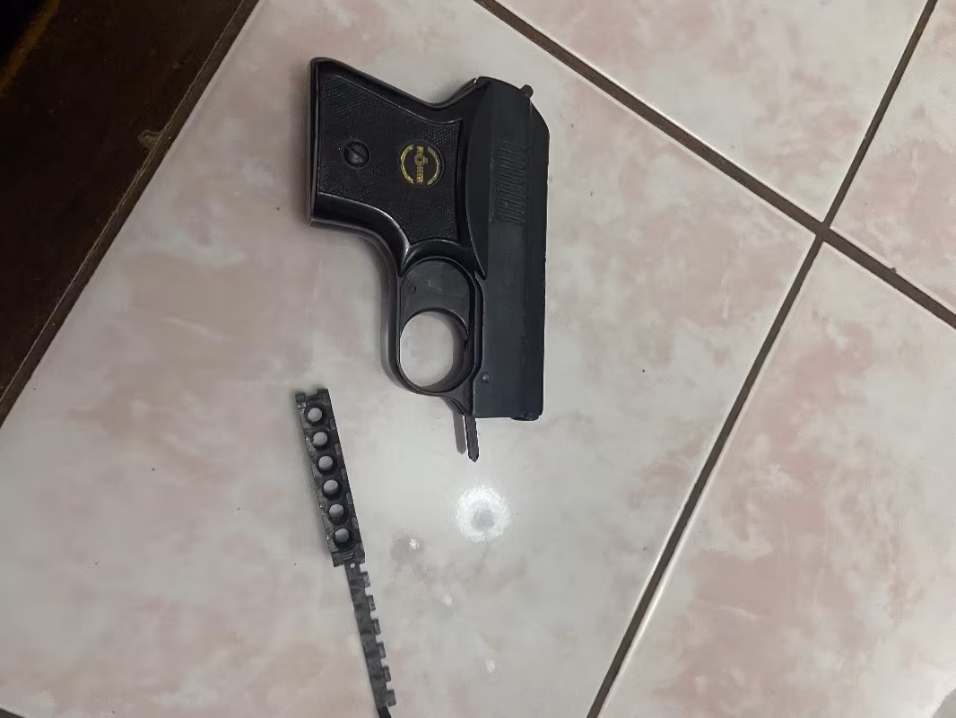 RG2S Blank Pistol