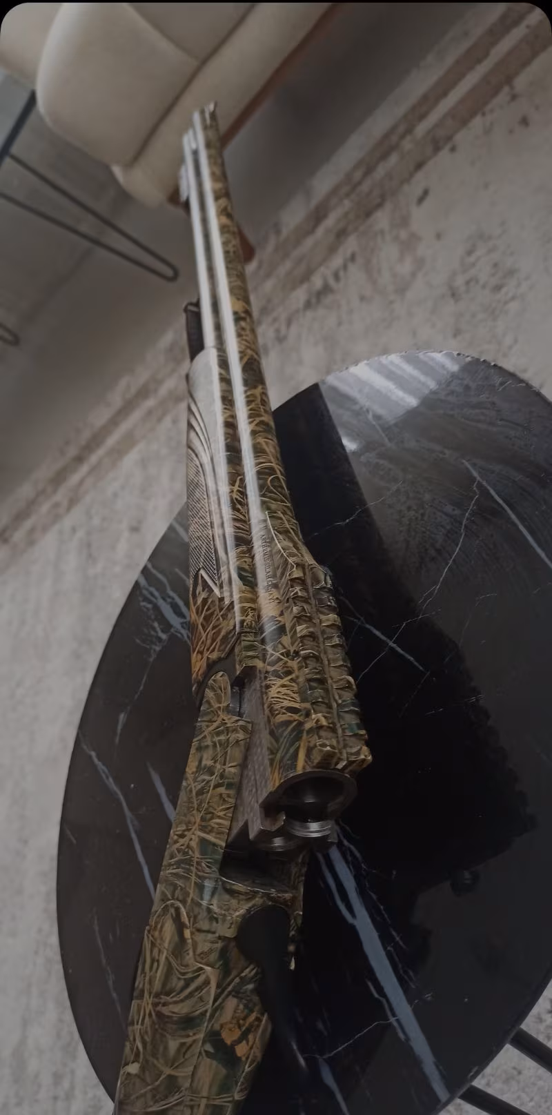 Arthemis poze