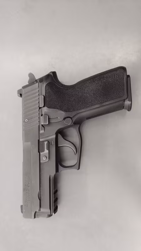 sig sauer p229 9 mm