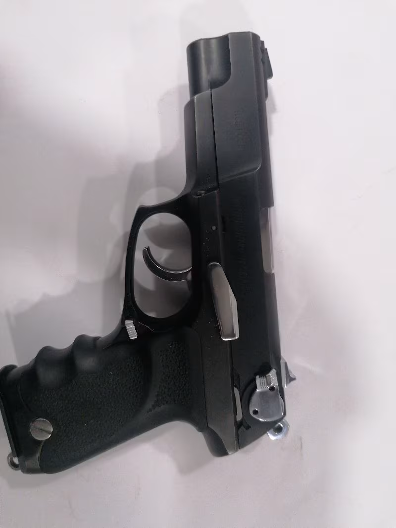 Tertemiz ruger