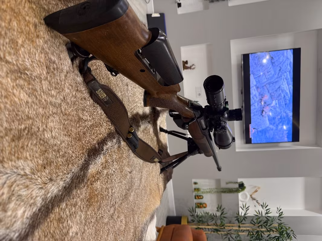 Sauer 202 jaktmatch 300 win mag